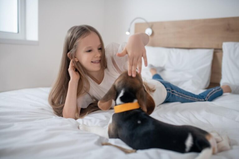 Pet-Friendly Hotels with Excellent Amenities: The Ultimate Guide for Travelers