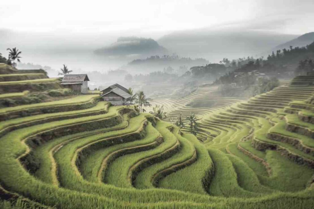 A breathraking view of Sapa Village